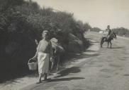 Saloias transportadas por burros, na estrada da Ulgueira.