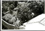 Telhado de uma casa no meio da vegetação na Vila de Sintra.
