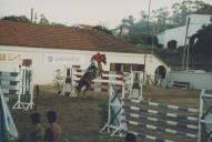 Concurso hípico na Quinta da Penha Longa.