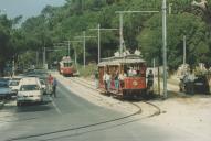 Elétricos de Sintra no Pinhal da Nazaré.