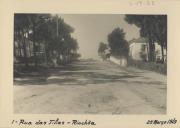 Vista parcial da rua das Tilias na Rinchoa.