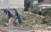 Populares procedendo à limpeza de espaço público numa localidade do concelho de Sintra.