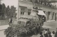 Carro alegórico M. de Assistência durante um cortejo de oferendas na Avenida Heliodoro Salgado, na Estefânia.
