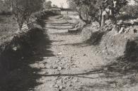 Construção de um caminho entre Aruil de Cima e Alveijar.