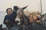 Saloia com burro no mercado municipal da Estefânia.