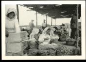Mulheres escolhendo uvas para exportação em Rio Frio 1952