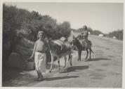 Saloias transportadas por burros na estrada da Ulgueira.