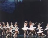 2º ato do Lago dos Cisnes do Ballet Nacional de Cuba.