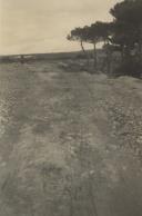 Vista parcial do troço do caminho onde foi construida a estrada do Mucifal.