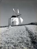 Paisagem rural com um moinho de vento.