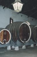 Túneis de vinho na Adega Regional de Colares.