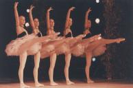 Atuação da companhia de Ballet Russo de Novosibirsk, Paquita.