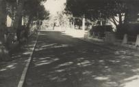 Troço da estrada do Bairro dos Caniçais, no Pinhal da Nazaré, em Colares depois do alcatroamento.