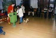 Ação educativa do veterinário da Câmara Municipal de Sintra destinada a crianças sobre como proteger a sua saúde e a dos nossos cães na sala da Nau do palácio Valenças.