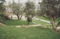 Vista parcial de um espaço verde em Agualva Cacém.