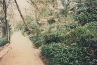 Parque da Liberdade na Vila de Sintra.