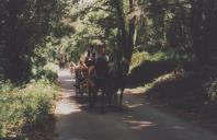 Círio de Santa Rita de Cássia para a Peninha.