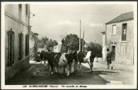 Almoçageme (Sintra). No caminho da Adraga