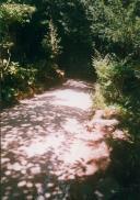 Parque da Liberdade em Sintra.