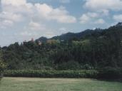 Enquadramento paisagístico do Palácio de Monserrate.