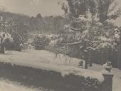 Nevão na Quinta de São Sebastião em Sintra.