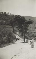 Vista parcial da Serra de Sintra.