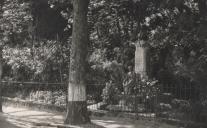 Busto do Dr. Gregório Rafael Silva de Almeida na Volta do Duche em Sintra