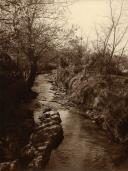 Rio na Serra de Sintra.