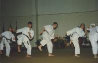 Campeonato da Federação Nacional de Karaté.