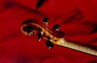 Pormenor de um violino.