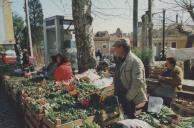 Venda de flores na Feira de São Pedro.