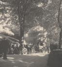 Passeio de coche no Parque da Pena junto à Fonte dos Passarinhos.