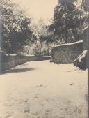 Nevão na Serra de Sintra.