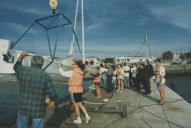 Regata com o apoio da Câmara Municipal de Sintra no Dafundo.