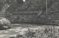 Exposição de plantas no Ringue de Patinagem do Parque da Liberdade na Vila de Sintra.