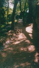 Parque da Liberdade em Sintra.