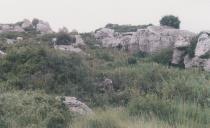 Lápias na Granja dos Serrões.