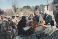 Feira de S. Pedro de Sintra.