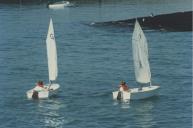 Regata com o apoio da Câmara Municipal de Sintra na zona de Paço de Arcos.