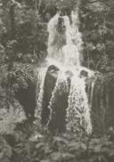 Cascata no parque de Monserrate.