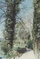 Parque da Liberdade na Vila de Sintra.