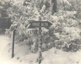 Nevão na estrada que vai para a Cruz Alta, na Serra de Sintra.