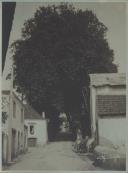 Estrada de Abreja em Colares.