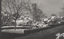 Nevão em  São Pedro de Sintra.