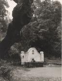 Fonte dos Ladrões na estrada velha de Colares, serra de Sintra.
