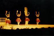 Noites de bailado em Seteais.