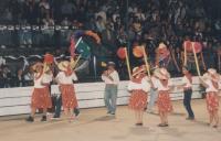 Desfile das marchas populares.