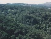 Vista da Serra de Sintra.