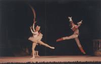 Atuação da companhia de Ballet Clássico da Rússia, A Bela Adormecida, nas noites de bailado de Seteais.