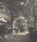 Passeio de coches no Parque da Pena junto à Fonte dos Passarinhos.